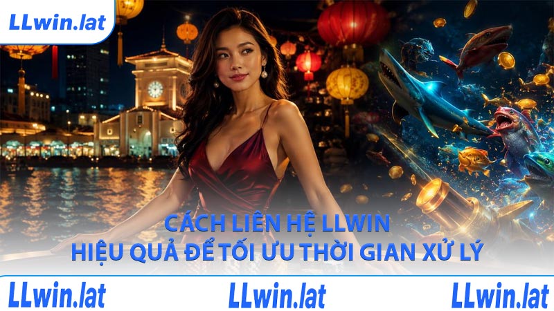 Cách liên hệ LLWIN hiệu quả để tối ưu thời gian xử lý