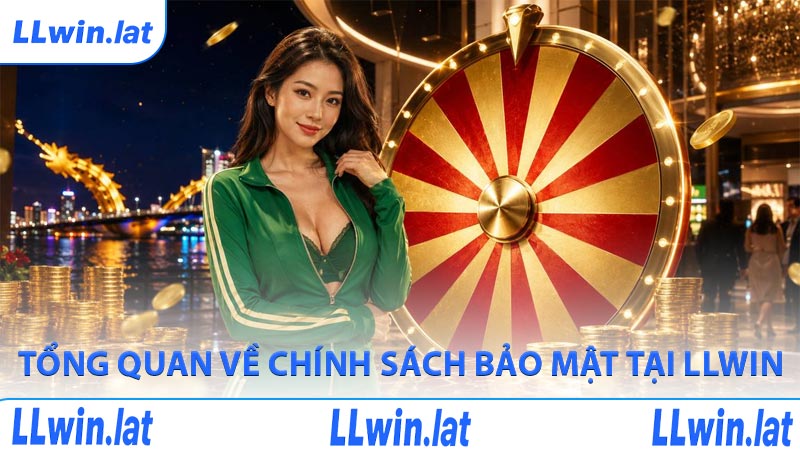 Tổng quan về chính sách bảo mật tại LLWIN
