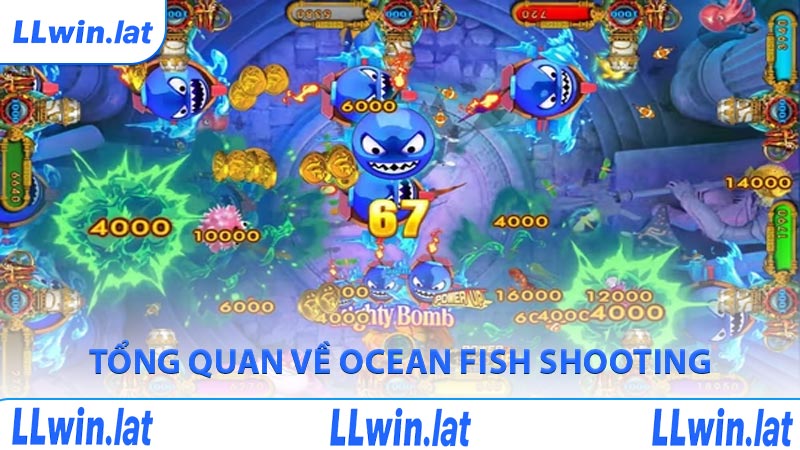Tổng quan về Ocean Fish Shooting
